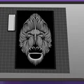 Chân dung Khỉ đầu chó (Baboon) 1 - Thumbnail 2