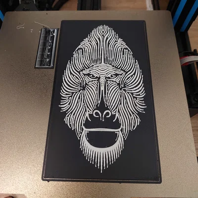 Chân dung Khỉ đầu chó (Baboon) 1