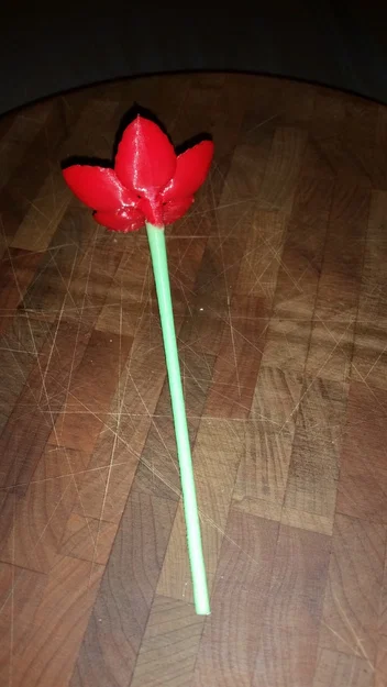 Cuống (Stem) cho hoa Cherry Blossom của kijai - Image 1