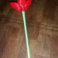 Cuống (Stem) cho hoa Cherry Blossom của kijai - Thumbnail 1