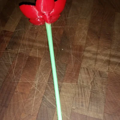 Cuống (Stem) cho hoa Cherry Blossom của kijai