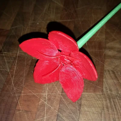 Cuống (Stem) cho hoa Cherry Blossom của kijai
