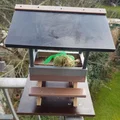 Nhà cho sóc ăn (có mái) / Squirrel food house Eichhorn - Thumbnail 3