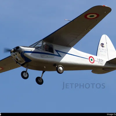 Mô hình 3D máy bay cổ điển Aermacchi MB.308 (Macchino)