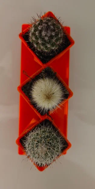 Bộ ba chậu cây cảnh mini (Triple pots) in 3D xinh xắn - Image 2