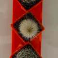 Bộ ba chậu cây cảnh mini (Triple pots) in 3D xinh xắn - Thumbnail 2