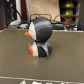 Chim cánh cụt dễ thương (Cute penguin) - Thumbnail 3