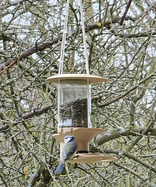 Máng ăn cho chim treo dùng hũ thủy tinh (Glass Jar Bird Feeder) - Image 2
