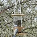 Máng ăn cho chim treo dùng hũ thủy tinh (Glass Jar Bird Feeder) - Thumbnail 2