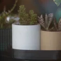 Bộ chậu cây 3D đôi thiết kế chồng lấn độc đáo - Overlapping Pots - Thumbnail 1