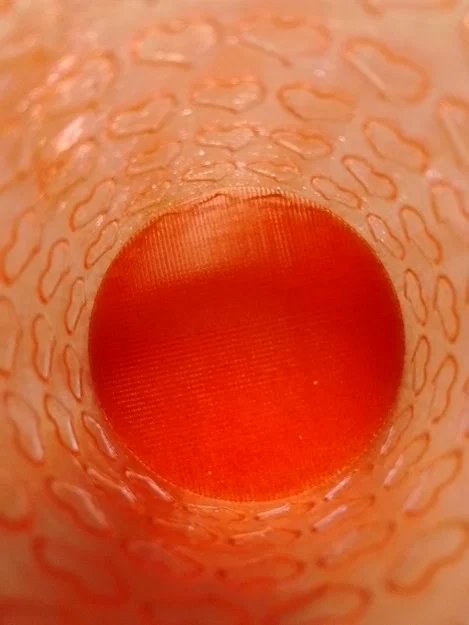 Hộp đựng quà trái tim - Mẫu in 3D Vase Mode đáng yêu - Image 7
