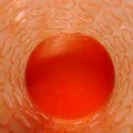 Hộp đựng quà trái tim - Mẫu in 3D Vase Mode đáng yêu - Thumbnail 7