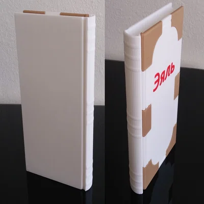 Hộp sách bí mật kiêm heo đất (Book casket - piggy bank)