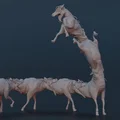 Deadlaws Long Horse - Thumbnail 1