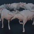Deadlaws Long Horse - Thumbnail 3