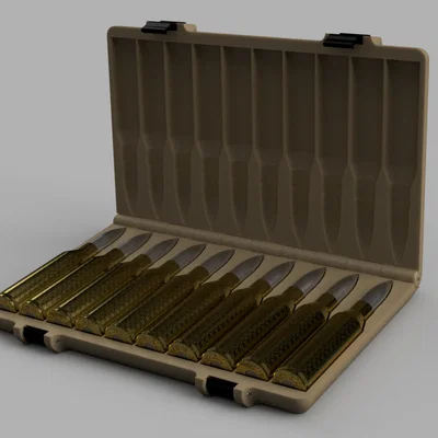 Hộp đựng vỏ đạn .300 Norma Magnum (10 viên)
