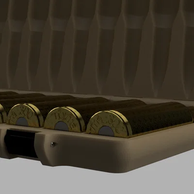Hộp đựng vỏ đạn .300 Norma Magnum (10 viên)