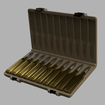 Hộp đựng vỏ đạn .300 Norma Magnum (10 viên)