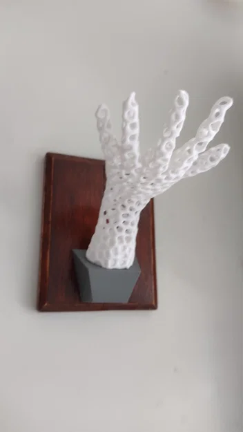 Giá đỡ Bàn tay đa năng để bàn & treo tường – Voronoi - Image 7