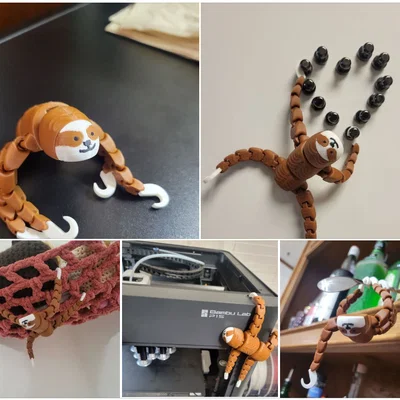 Mô hình chú lười linh hoạt Flexi-Sloth in 3D đa sắc màu