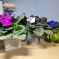 Bộ bình hoa & chậu cây chống nước (Vase mode + Normal mode) - Thumbnail 4
