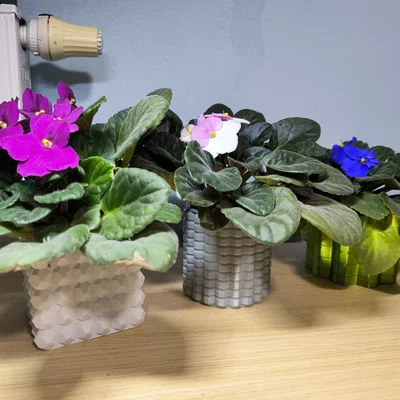 Bộ bình hoa & chậu cây chống nước (Vase mode + Normal mode)
