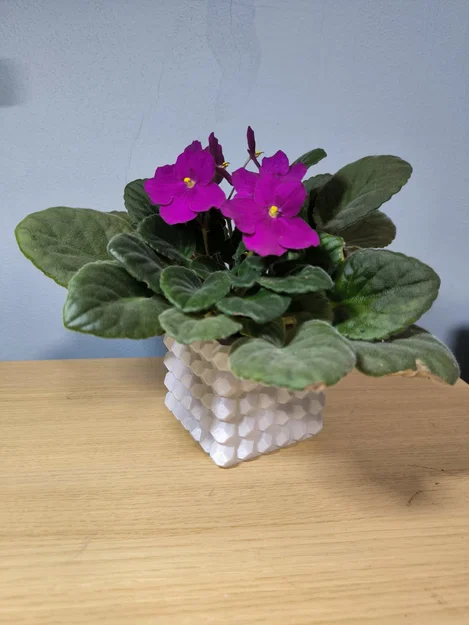 Bộ bình hoa & chậu cây chống nước (Vase mode + Normal mode) - Image 8