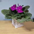Bộ bình hoa & chậu cây chống nước (Vase mode + Normal mode) - Thumbnail 8