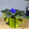Bộ bình hoa & chậu cây chống nước (Vase mode + Normal mode) - Thumbnail 9