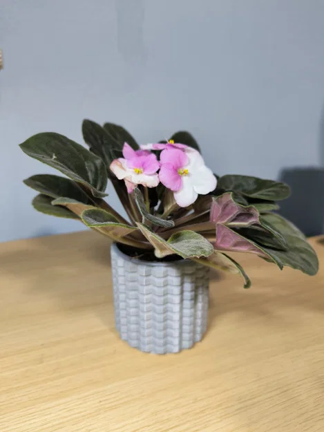 Bộ bình hoa & chậu cây chống nước (Vase mode + Normal mode) - Image 10