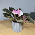 Bộ bình hoa & chậu cây chống nước (Vase mode + Normal mode) - Thumbnail 10