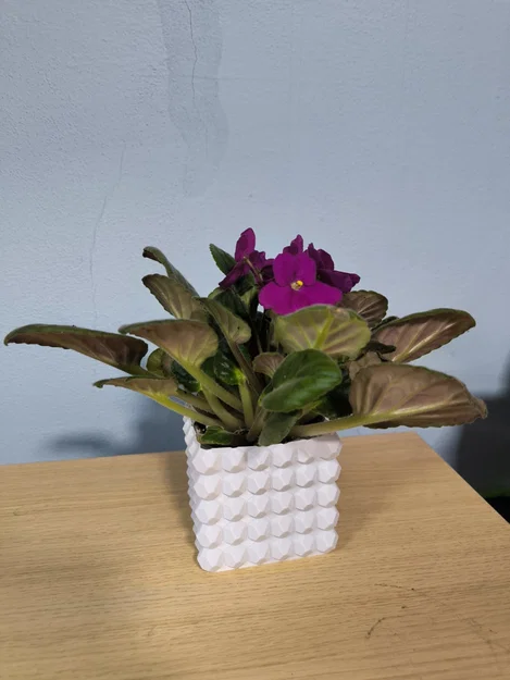 Bộ bình hoa & chậu cây chống nước (Vase mode + Normal mode) - Image 11