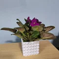 Bộ bình hoa & chậu cây chống nước (Vase mode + Normal mode) - Thumbnail 11