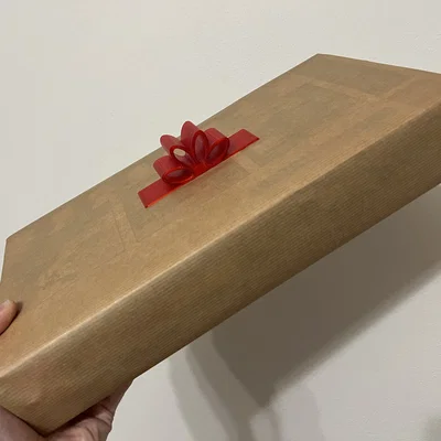 Mẫu nơ trang trí hộp quà Gift Ribbon in 3D đẹp mắt