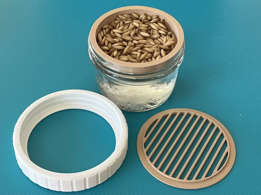 Bộ trồng Cat Grass hydroponic cho hũ canning jar miệng standard & wide - Image 1