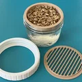 Bộ trồng Cat Grass hydroponic cho hũ canning jar miệng standard & wide - Thumbnail 1