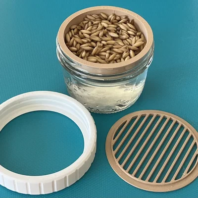 Bộ trồng Cat Grass hydroponic cho hũ canning jar miệng standard & wide