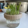 Bộ trồng Cat Grass hydroponic cho hũ canning jar miệng standard & wide - Thumbnail 3