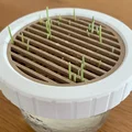 Bộ trồng Cat Grass hydroponic cho hũ canning jar miệng standard & wide - Thumbnail 4