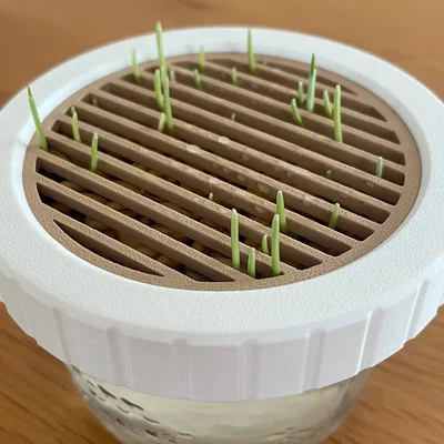 Bộ trồng Cat Grass hydroponic cho hũ canning jar miệng standard & wide