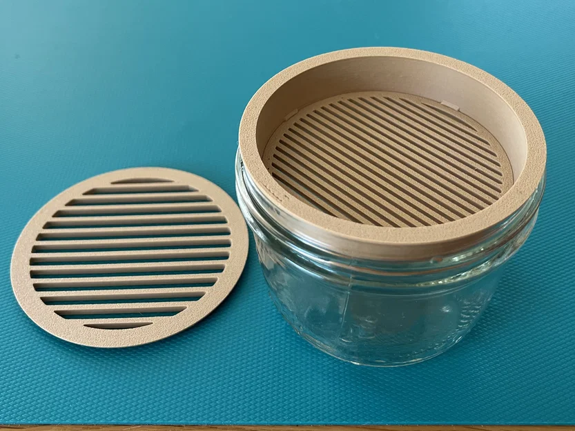 Bộ trồng Cat Grass hydroponic cho hũ canning jar miệng standard & wide - Image 6