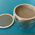 Bộ trồng Cat Grass hydroponic cho hũ canning jar miệng standard & wide - Thumbnail 6