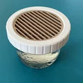 Bộ trồng Cat Grass hydroponic cho hũ canning jar miệng standard & wide - Thumbnail 7