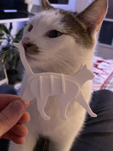 Mô hình chú mèo đang bước đi 3D Puzzle - Walking Cat Kit Card - Image 2