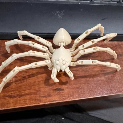 Mô hình nhện khớp nối linh hoạt in 3D (Articulated Spider)