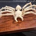 Mô hình nhện khớp nối linh hoạt in 3D (Articulated Spider) - Thumbnail 2