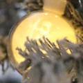 Ornament Cây Thông Noel Lithophane Hình Cầu Tùy Chỉnh - Thumbnail 3