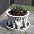 Chậu cây Tree Support (Tree support planter pot) - Thumbnail 2