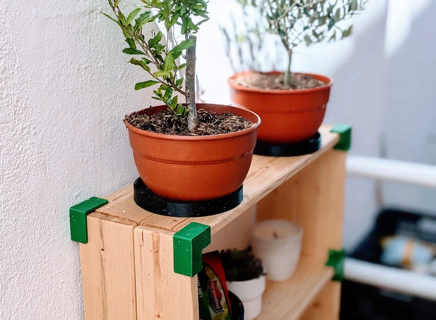 ∾ Hệ kệ (Shelving system) ∾ - Image 1