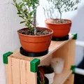 ∾ Hệ kệ (Shelving system) ∾ - Thumbnail 1